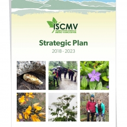ISCMV Strategic Plan Complete! photo